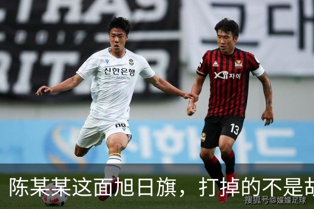 陈某某这面旭日旗，打掉的不是胡锡进的面子，是一层中邪论的滤镜